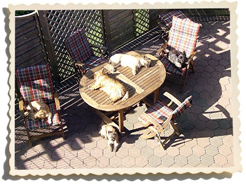 Sonnenbad...jeder wie und wo er mag
