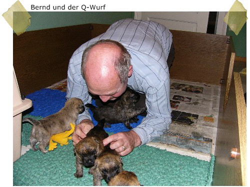 Bernd und der Q-Wurf