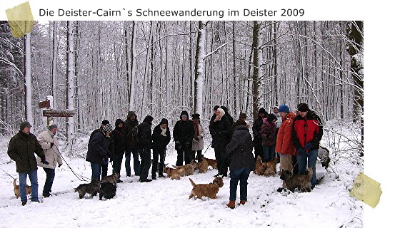 Die Deister-Cairn s Schneewanderung im Deister 2009